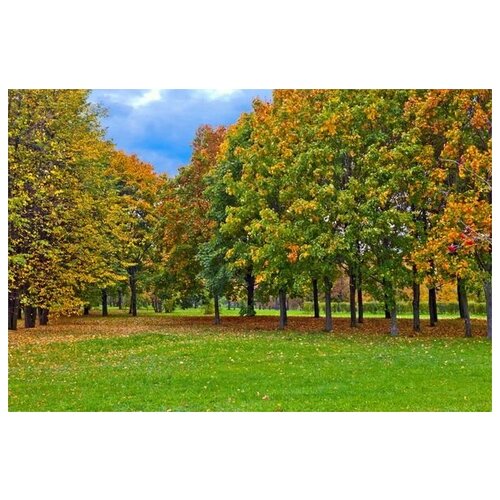      (Park in autumn) 45. x 30.,  1340