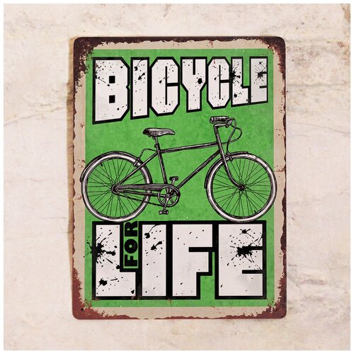    Bicycle for Life, , 3040 ,  1275