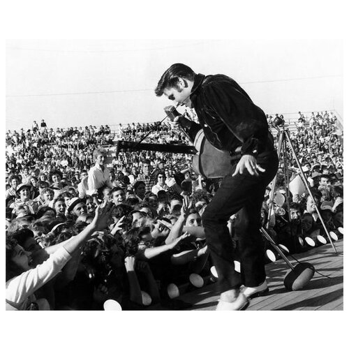      (Elvis Presley) 11 62. x 50.,  2320