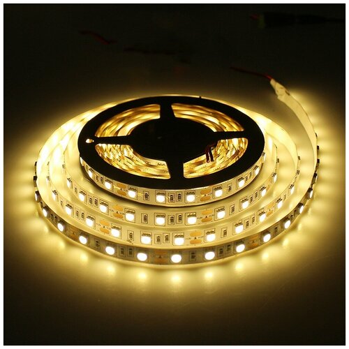   SMD5050-60LED-12V Double line standart 5. -  :  3000-3500K,  2200