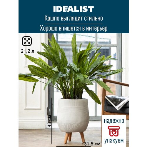     Idealist Lite , , 31.5 43 , 21.2 ,  8660