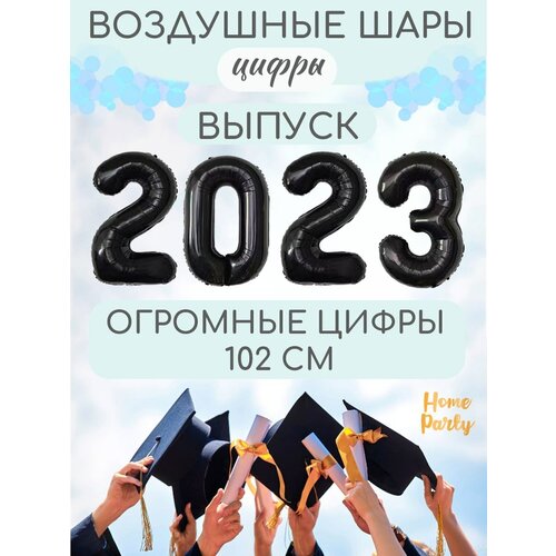     2023,  253