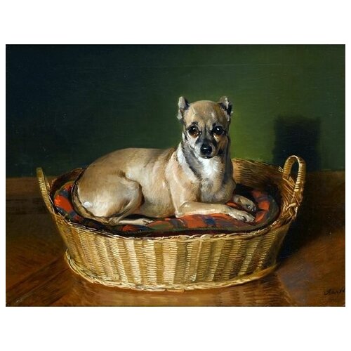       (Dog in basket) 39. x 30.,  1210