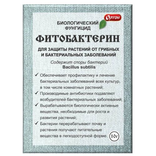 ������������ 10�, ���� 36�