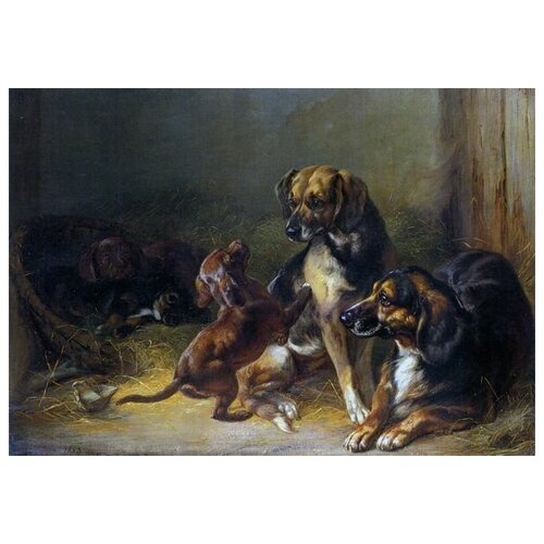    (Dogs and Whelps)   72. x 50.,  2590