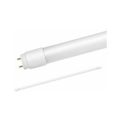   LED-T8--PRO 32 6500 G13 2700 230 1500 . IN HOME 4690612031040 (5. .),  2137