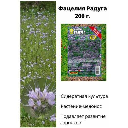 Фацелия Радуга 200 г (сидерат, зеленое удобрение), цена 500р