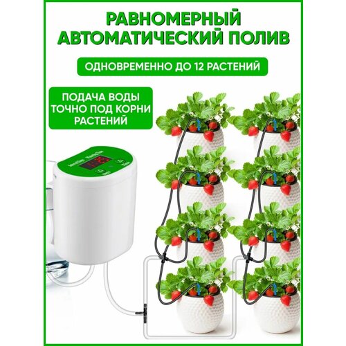 ��������� ��� ��������� �������� ��������� �����, ���� 2430�