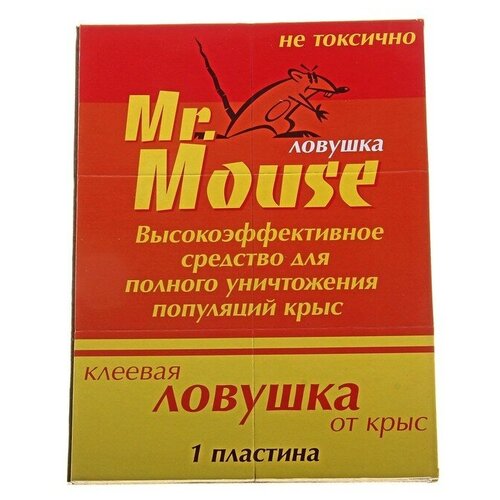   MR. MOUSE      /50,  500