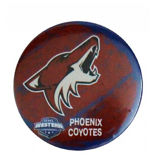    PHOENIX COYOTS,  225