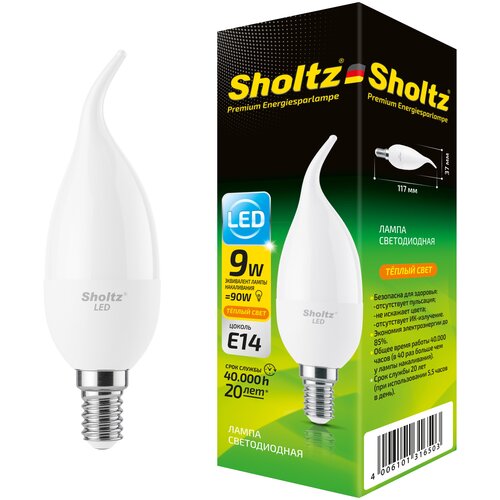    Sholtz 9 220    CA E14 2700 () LEC3165,  360