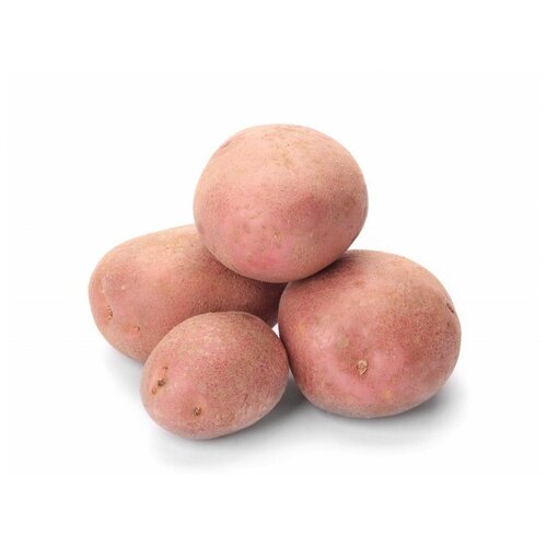 Картофель семенной беллароза клубни 1 кг, цена 259р