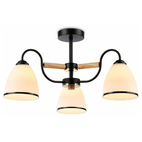    Ambrella Light Modern TR3033241,  3885