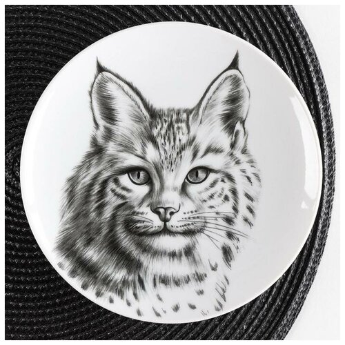 ���������� ���������� ����� ������� ������, d=24 ��, �����, ������, ���� 608�