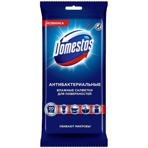 Domestos          30 ,  168