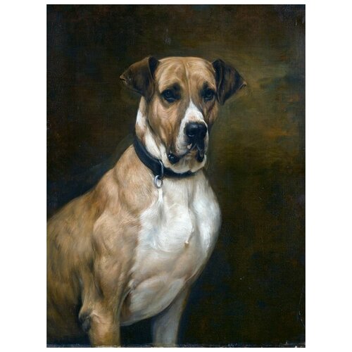     (Dog) 1 50. x 66.,  2420