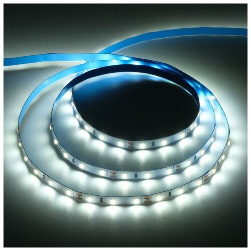   Ecola PRO 5 , IP20, SMD5060, 60 LED/, 11 /, 12 , 6000,  583