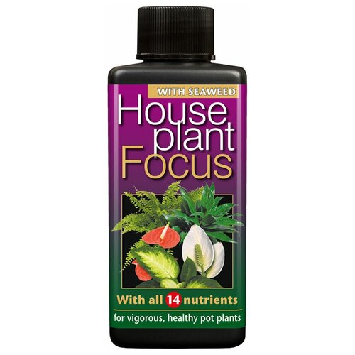  Houseplant Focus     Growth Technology  100,  750