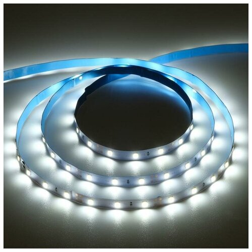   Ecola PRO 5 , IP20, SMD3528, 60 LED/, 4.8 /, 12 , 6000,  366