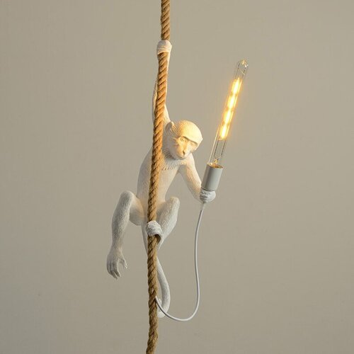   Monkey White Studio Led,  12600