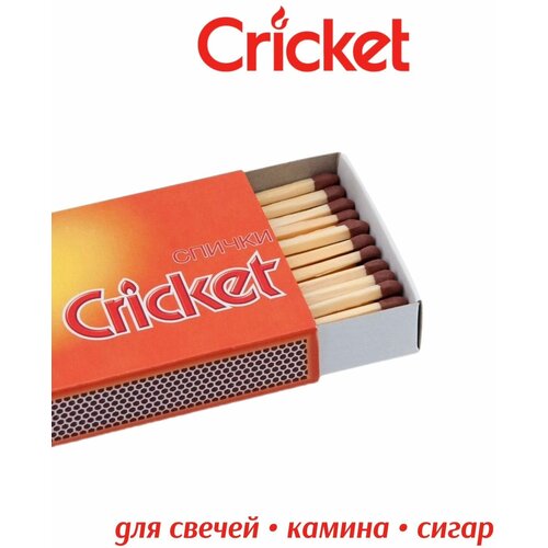   Cricket,  255