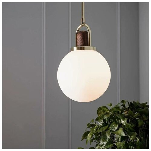   BULB, 20 ,  6950