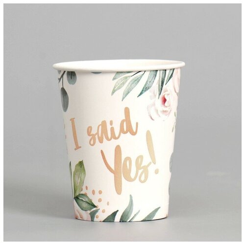 ������ �������� I said yes!, ����� 6 ��, 250 ��, ���� 230�