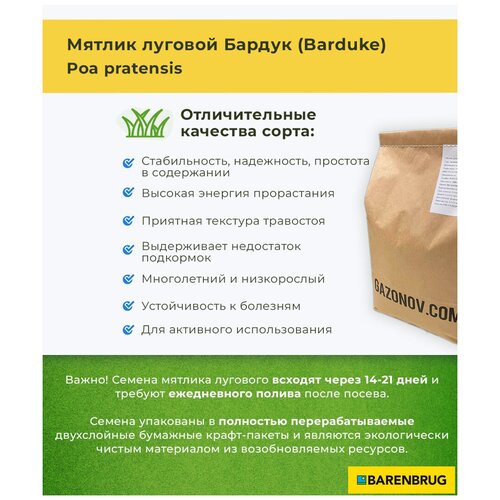 Семена газона Мятлик луговой сорт Бардук Barenbrug (1 кг), цена 1710р
