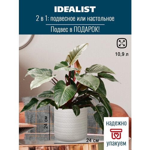 ,   Idealist Lite , , D24 H24 , 10.9 .,  2500