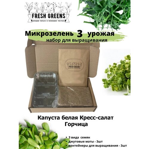      Fresh Greens (  - ),  386 Fresh greens