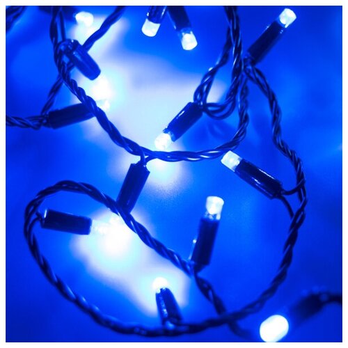   ARD-STRING-CLASSIC-10000-BLACK-100LED-FLASH BLUE (230V, 7W) (Ardecoled, IP65),  3070