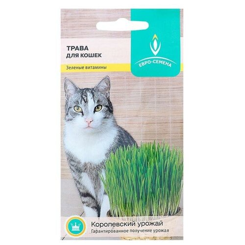 Семена Трава для кошек, 10 г, цена 213р