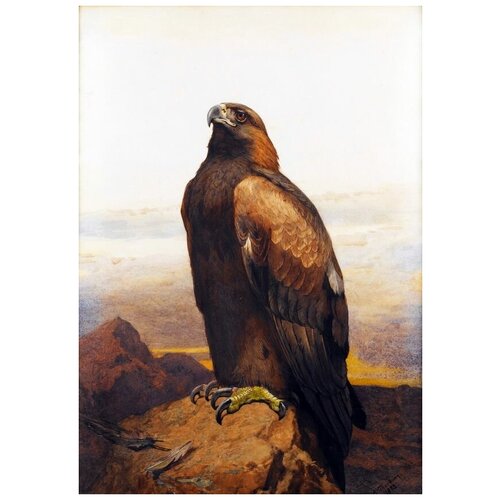     (Bird) 4 40. x 57.,  1880