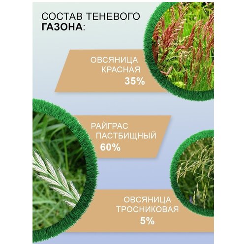 Семена газонных трав Мираторг Теневой газон 0,5 кг, цена 428р