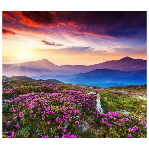          (Flowers in the mountains at sunset) 5 68. x 60.,  2830  