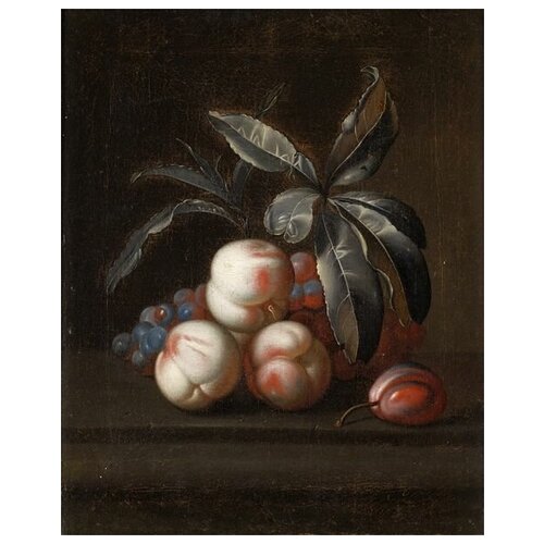      (Peaches) 5 50. x 62.,  2320  