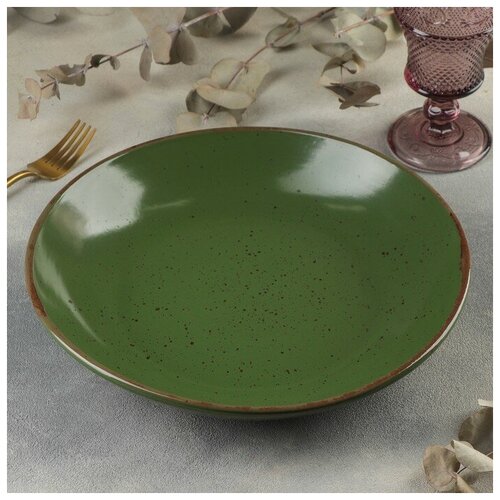 ������� ��� ����� Punto verde, d=30,5 ��, 1,5 � (1��.), ���� 1517�