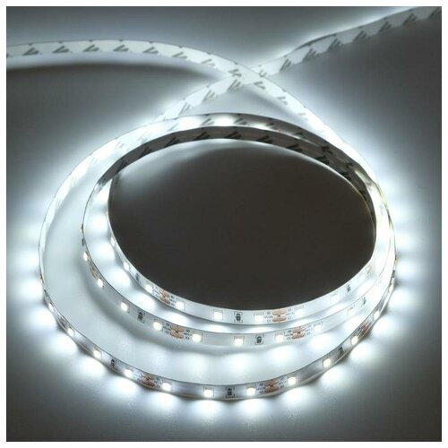   Ecola PRO 5 , IP20, SMD2835, 60 LED/, 8 /, 12 , 6000,  488