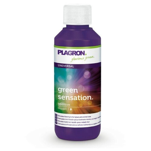    PLAGRON Green Sensation 0.1 ,  3100 Plagron