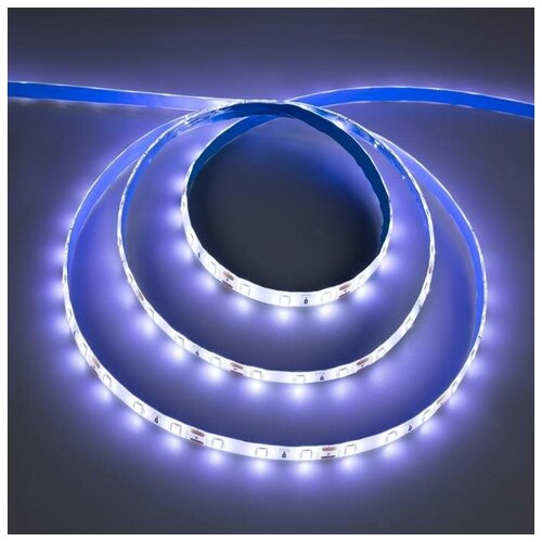 C  Ecola PRO 5 , IP65, SMD2550, 60 LED/, 19 /, 12 , 6000,  1045