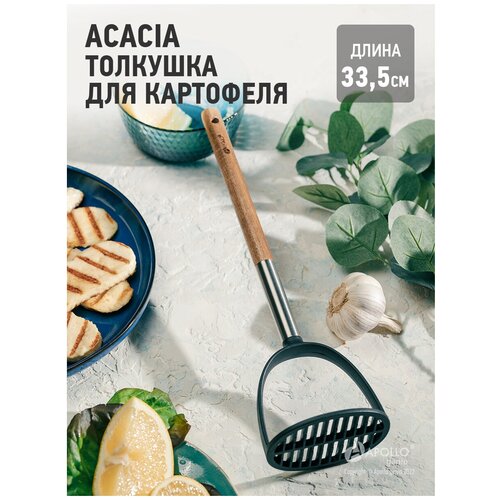 �������� Apollo Acacia, ����. �����/�������, ���� 749�