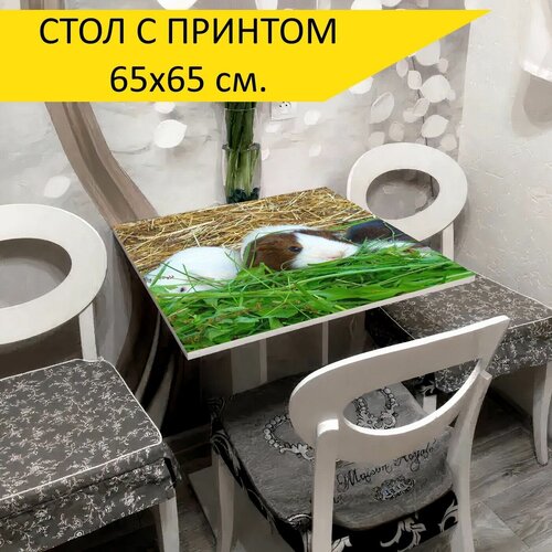 ���� 