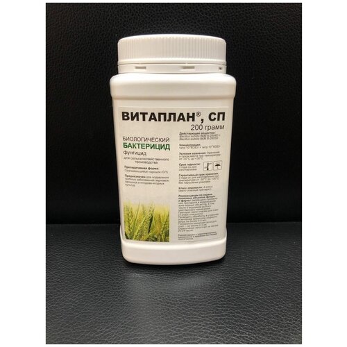 ��������, �� ������������� �������� �� ������ ���������� Bacillus subtilis, 200 ��, ���� 3000�
