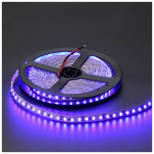    SMD3528-120LED-IP33 12  5. -  :,  2700 CLEVERLIGHT
