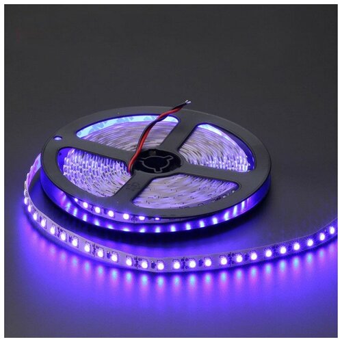   SMD3528-120LED-IP33 12  5. -  :,  2400