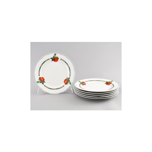 ����� ������� ��������� 25 �� �� 6 ������, ���� ��� ��������� ��� 03160115-080H, Leander, ���� 4860�
