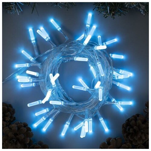   5    , IP20,  , 50 LED,  , 8 , 220 ,  643