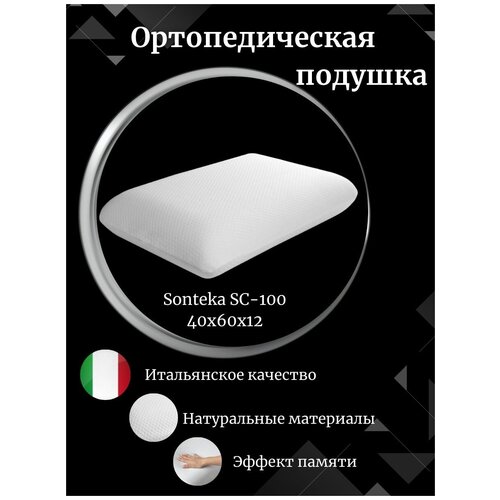 �������������� ������� � �������� ������ Sonteka SC-100, ���� 2990�