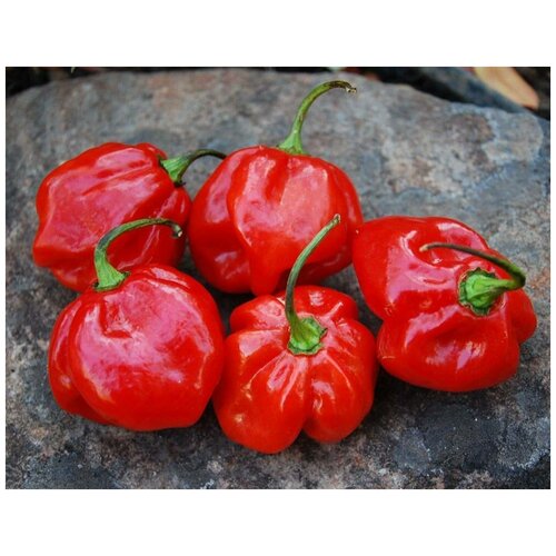    (. Jamaican Red Pepper )  5,  460