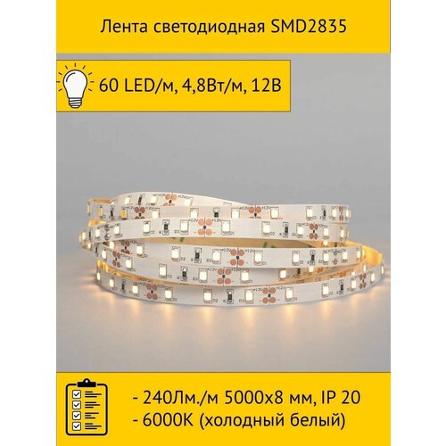   SMD2835, 60 LED/, 4,8/, 12, 240./ 50008 , IP 20, 6000 ( ),  1260